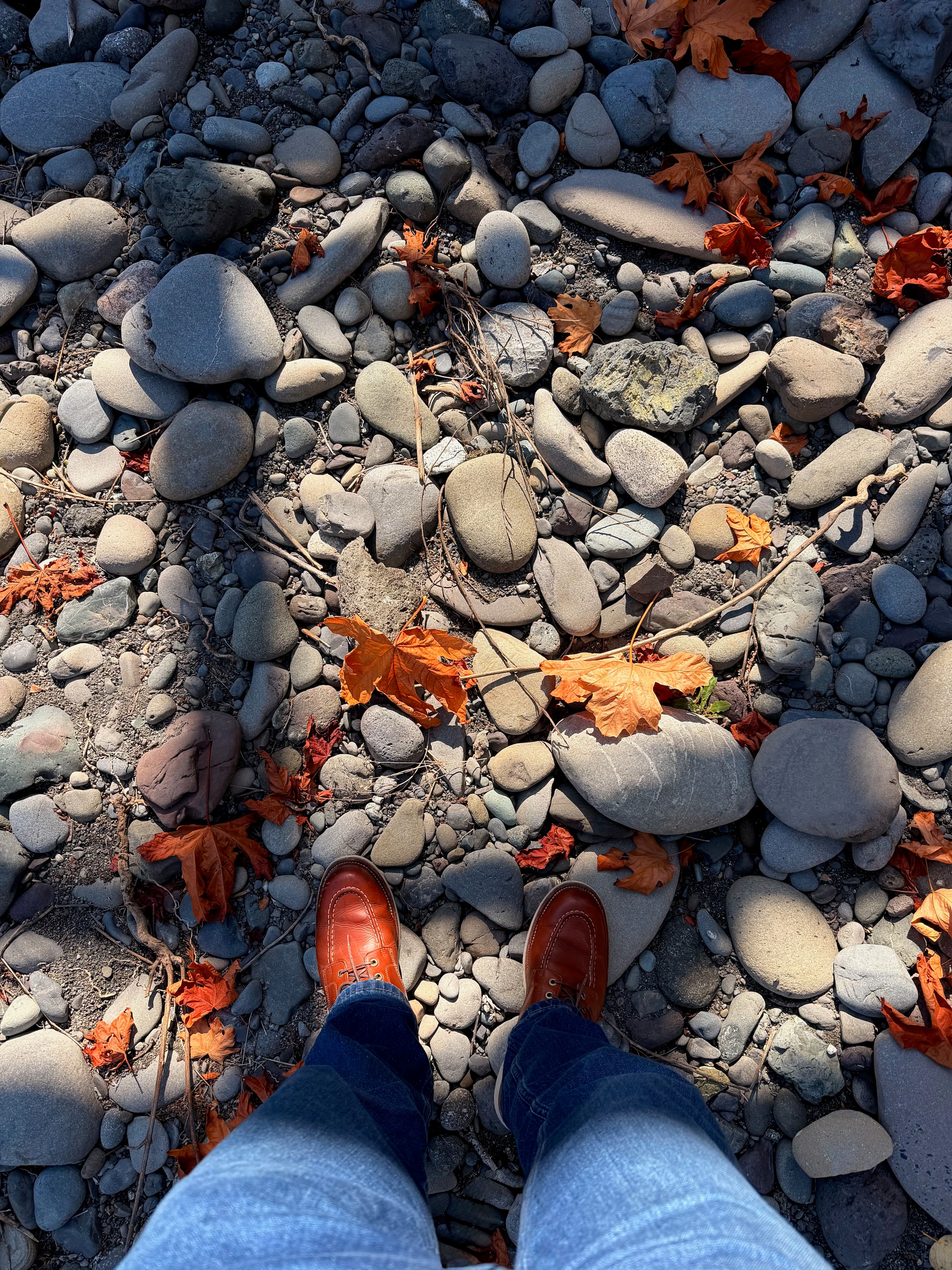 Portfolio photograph 39