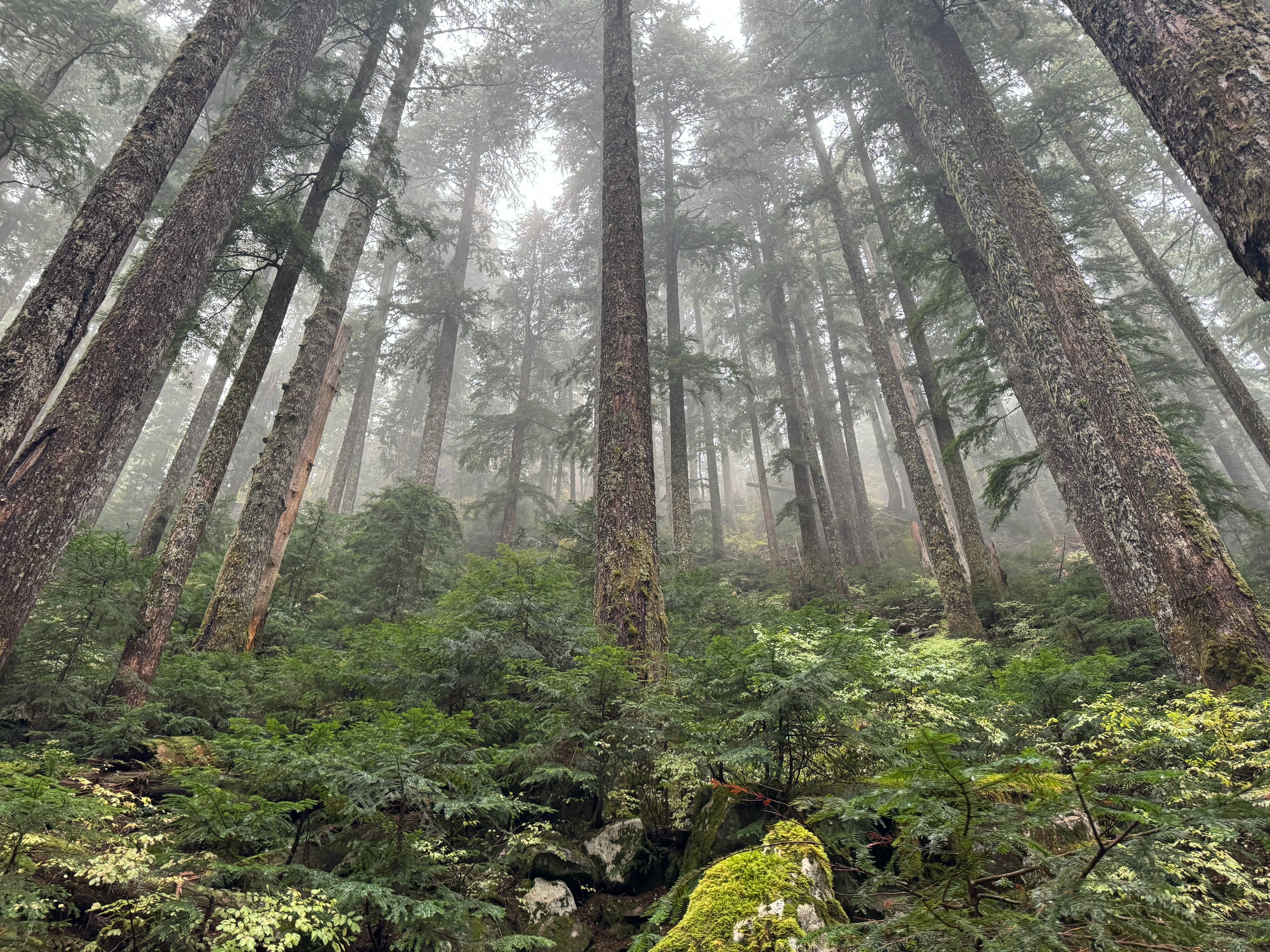 Portfolio photograph 106