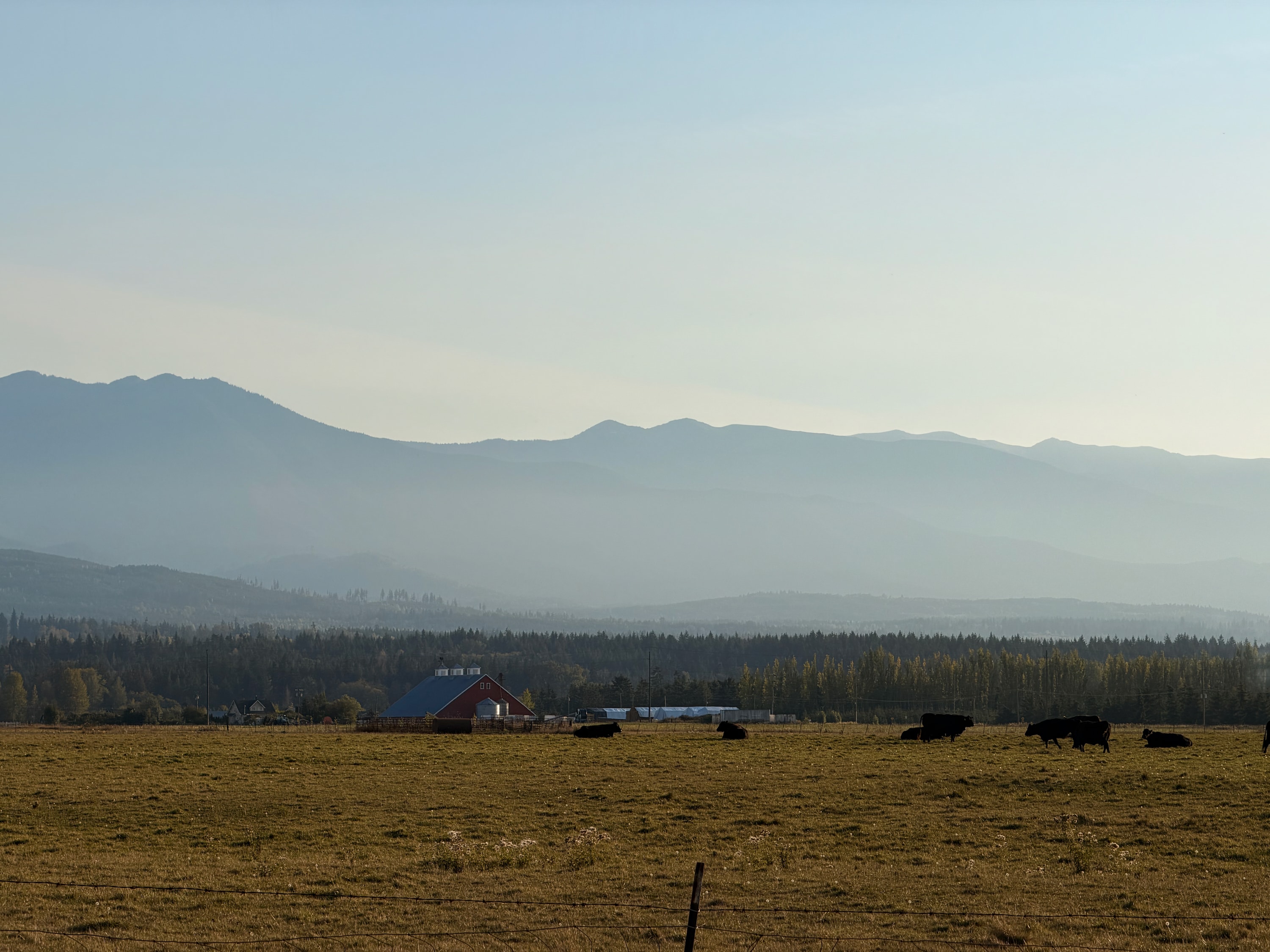 Portfolio photograph 36