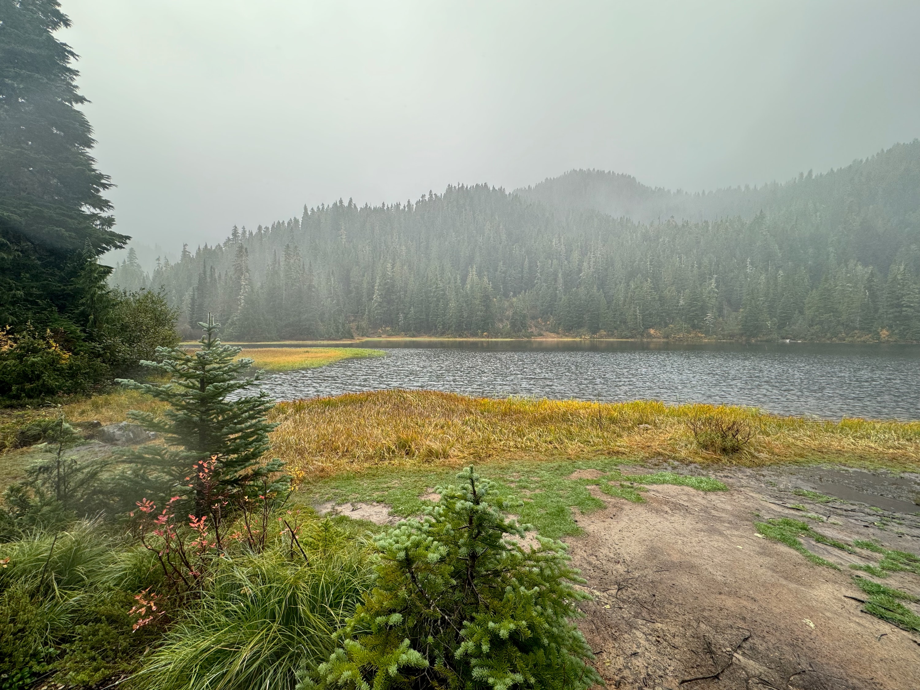 Portfolio photograph 105