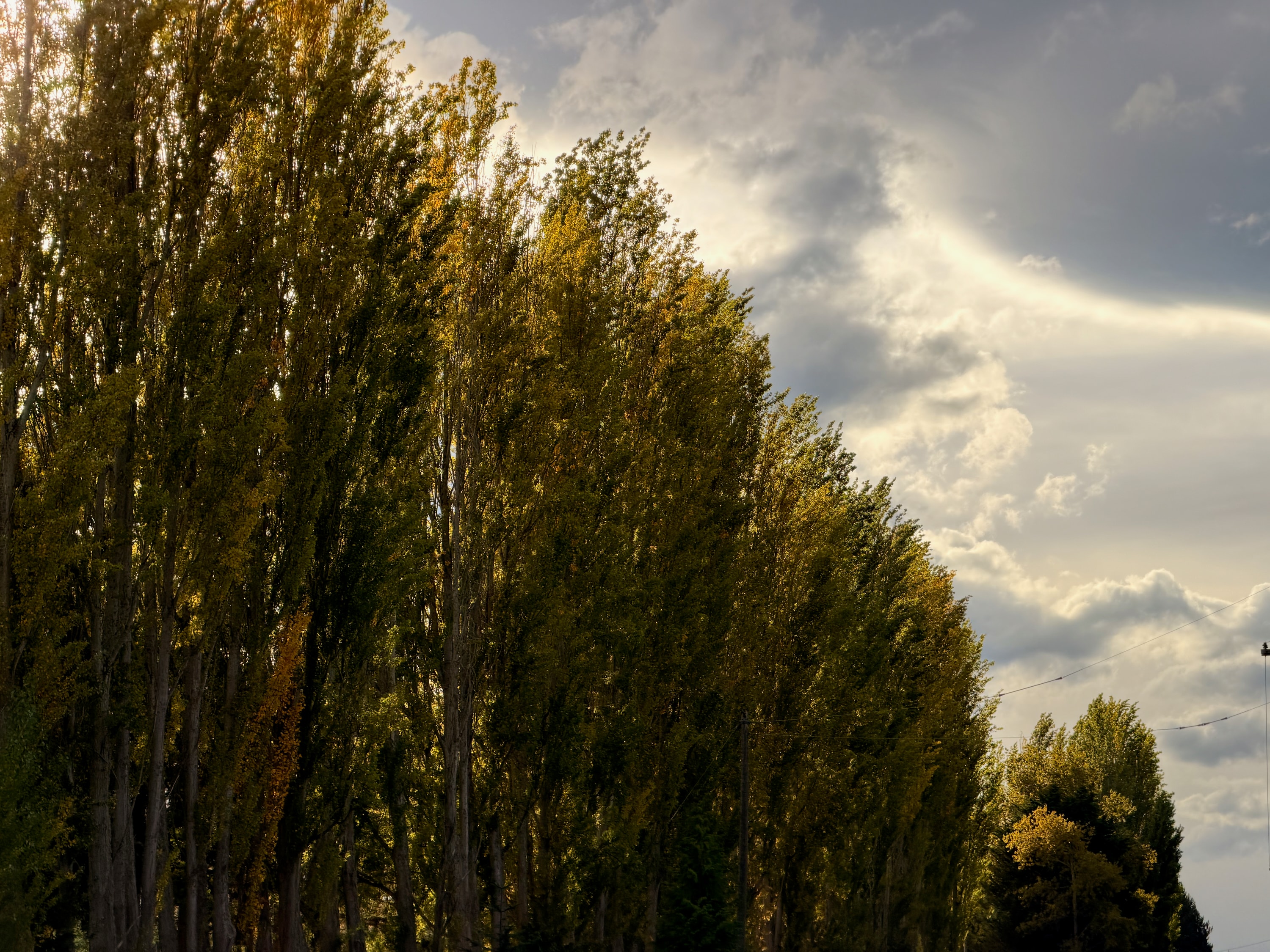 Portfolio photograph 34