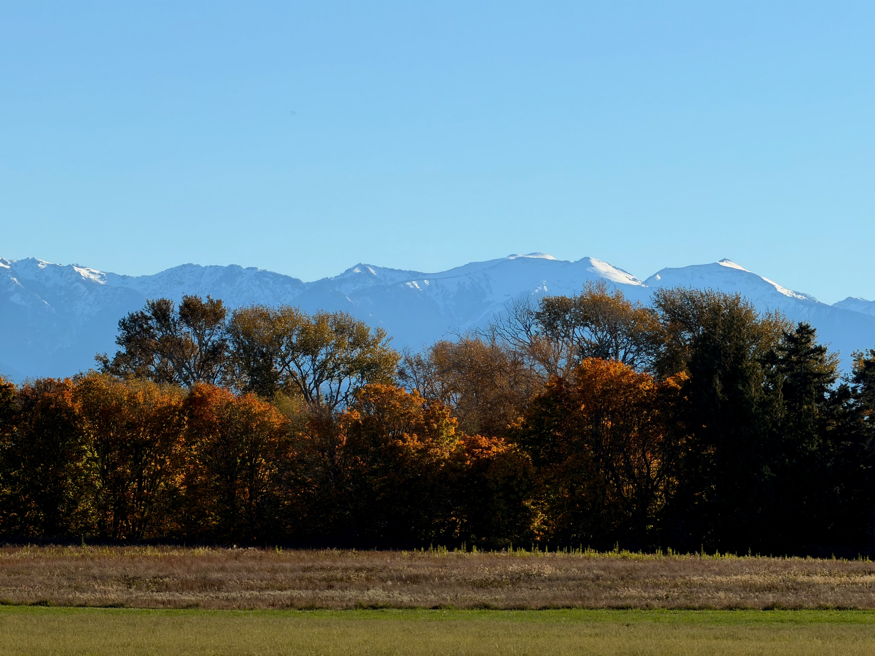 Portfolio photograph 33