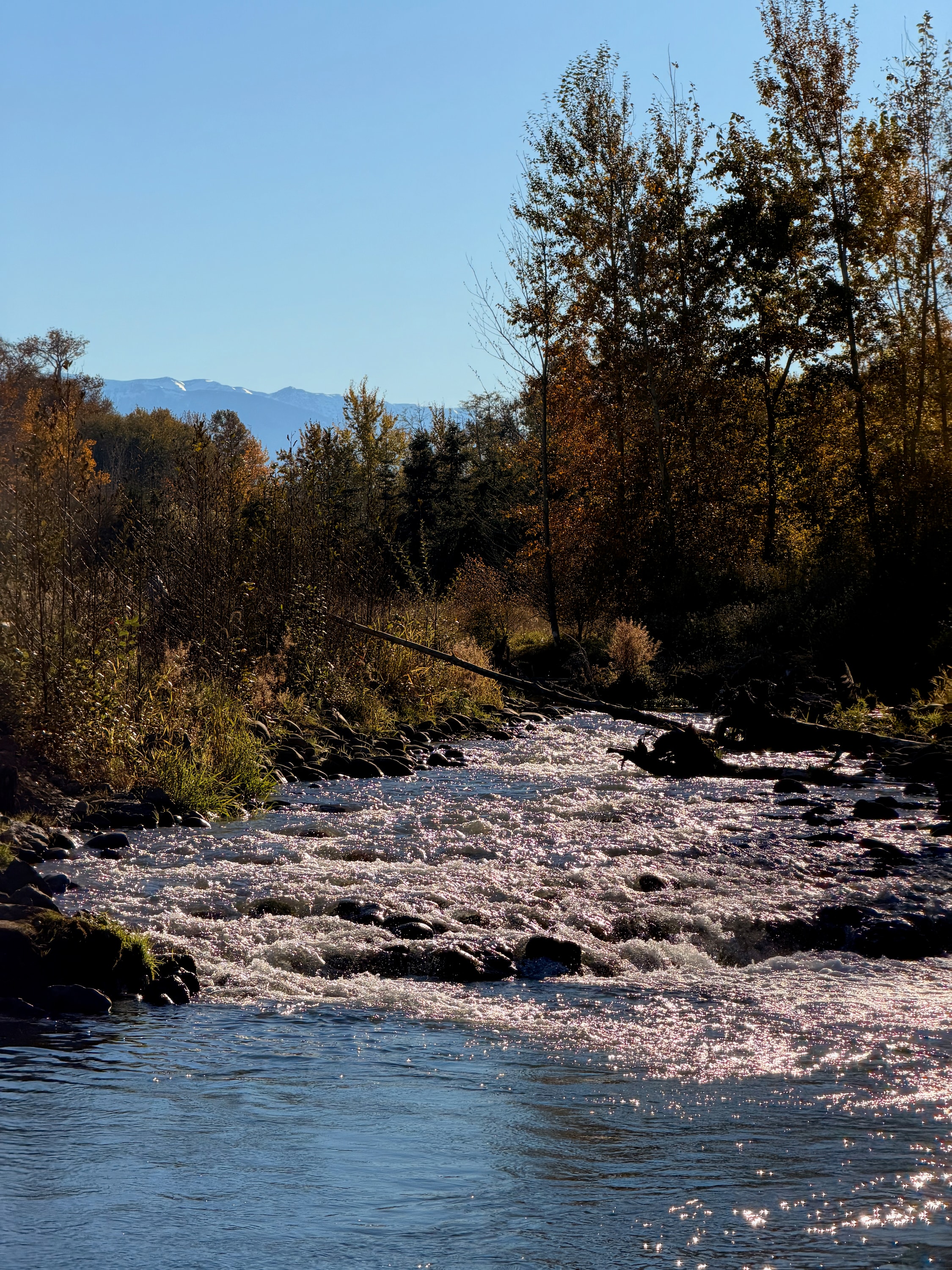 Portfolio photograph 32