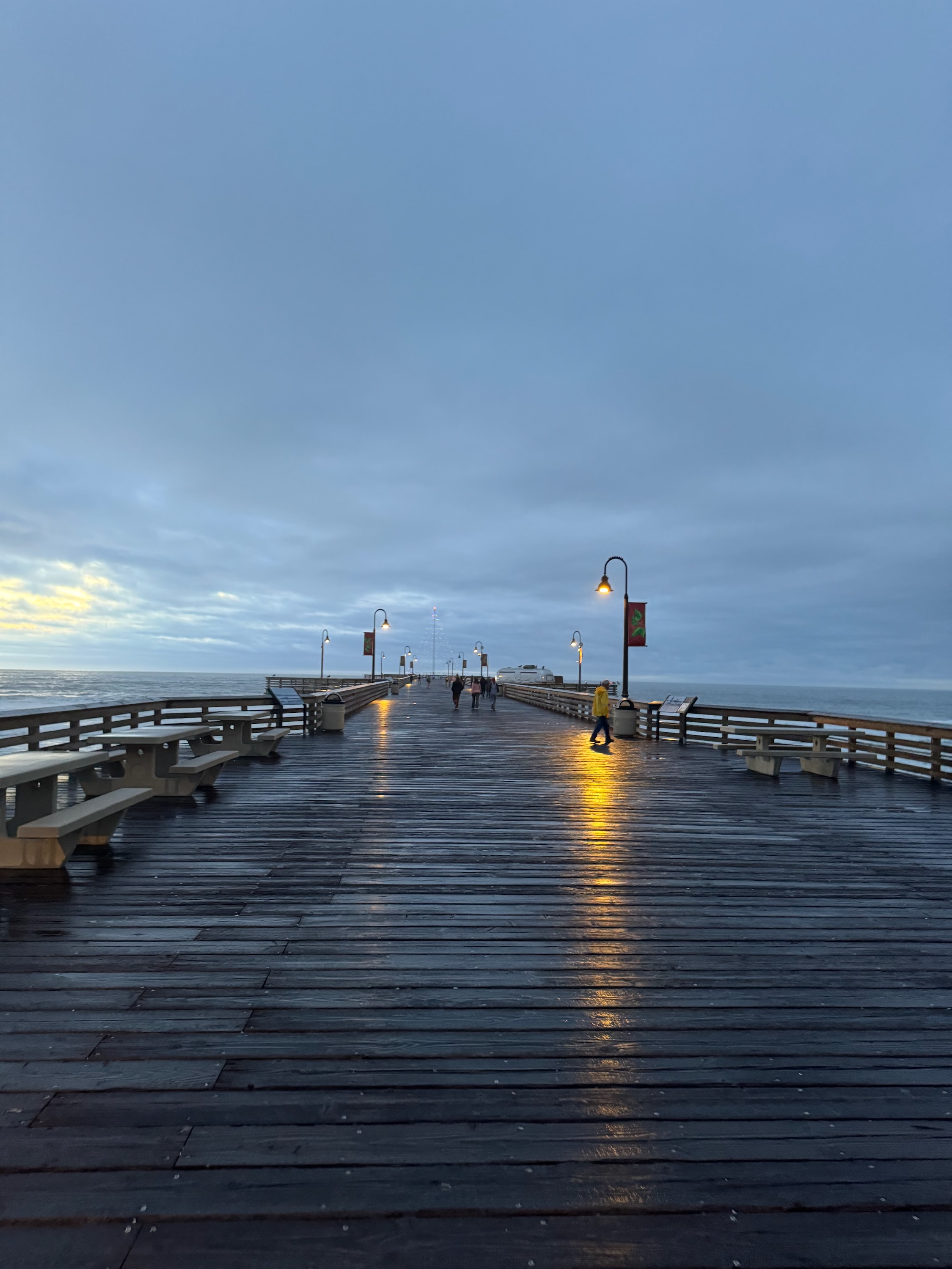 Portfolio photograph 102