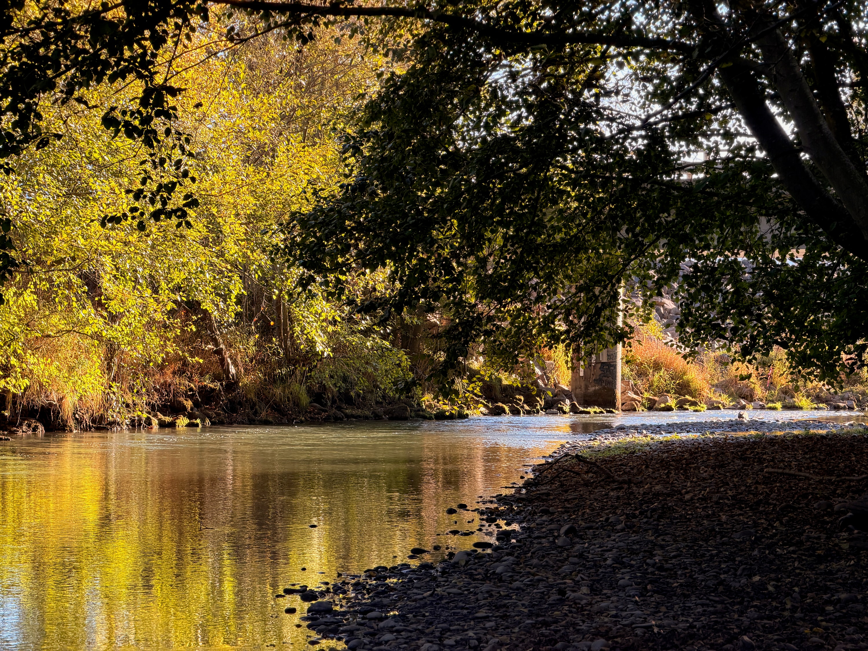 Portfolio photograph 31