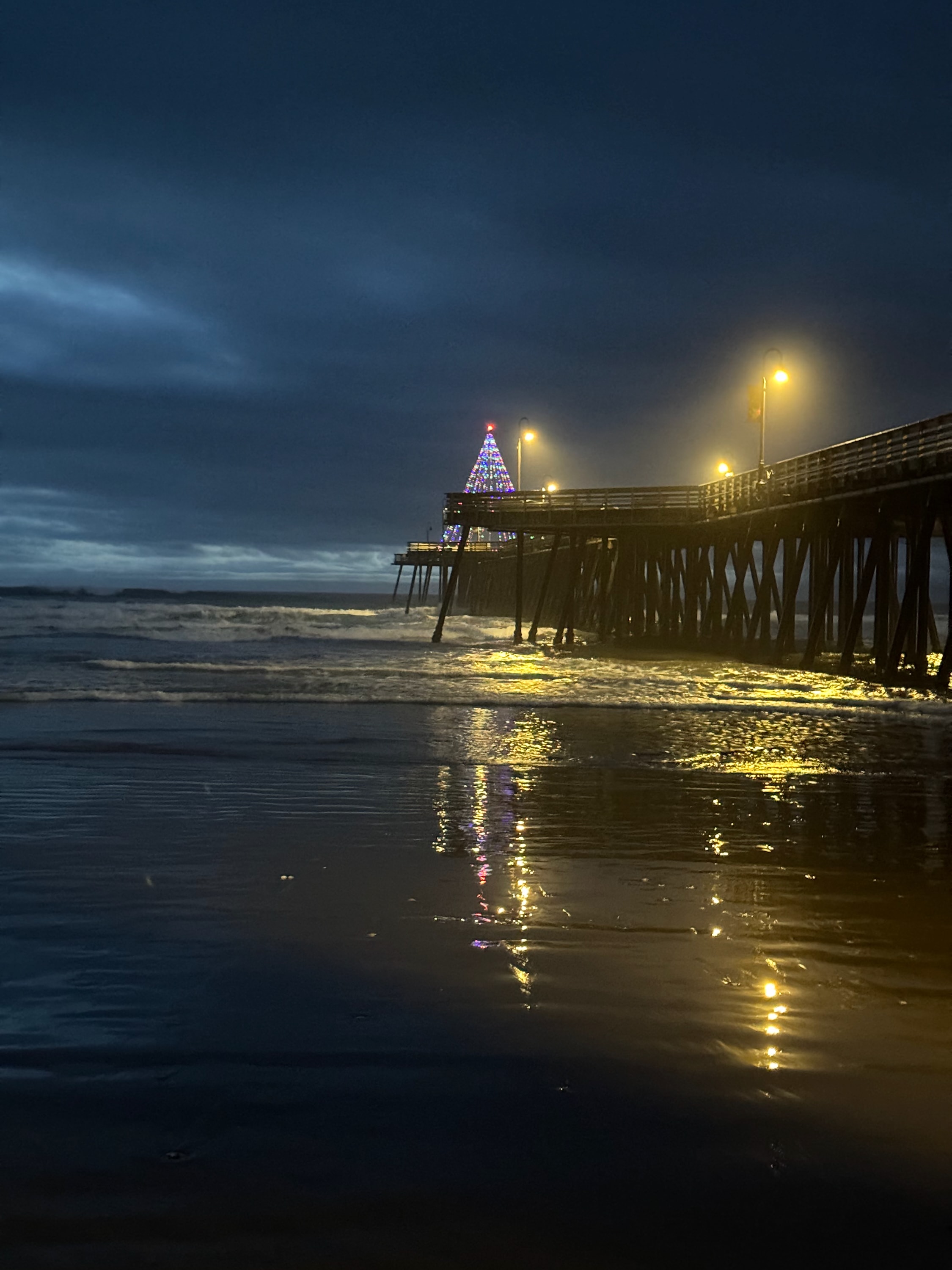 Portfolio photograph 100