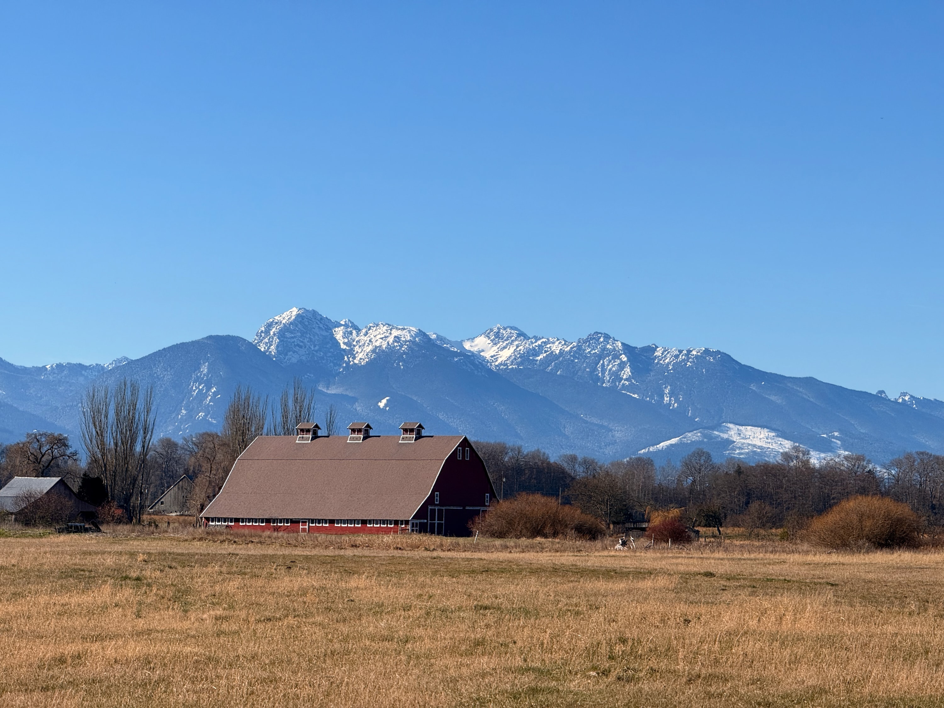 Portfolio photograph 61