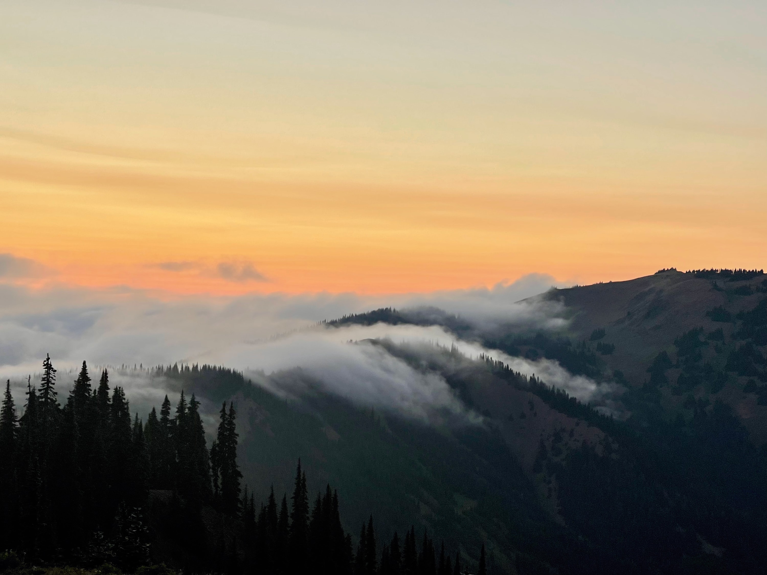Portfolio photograph 113