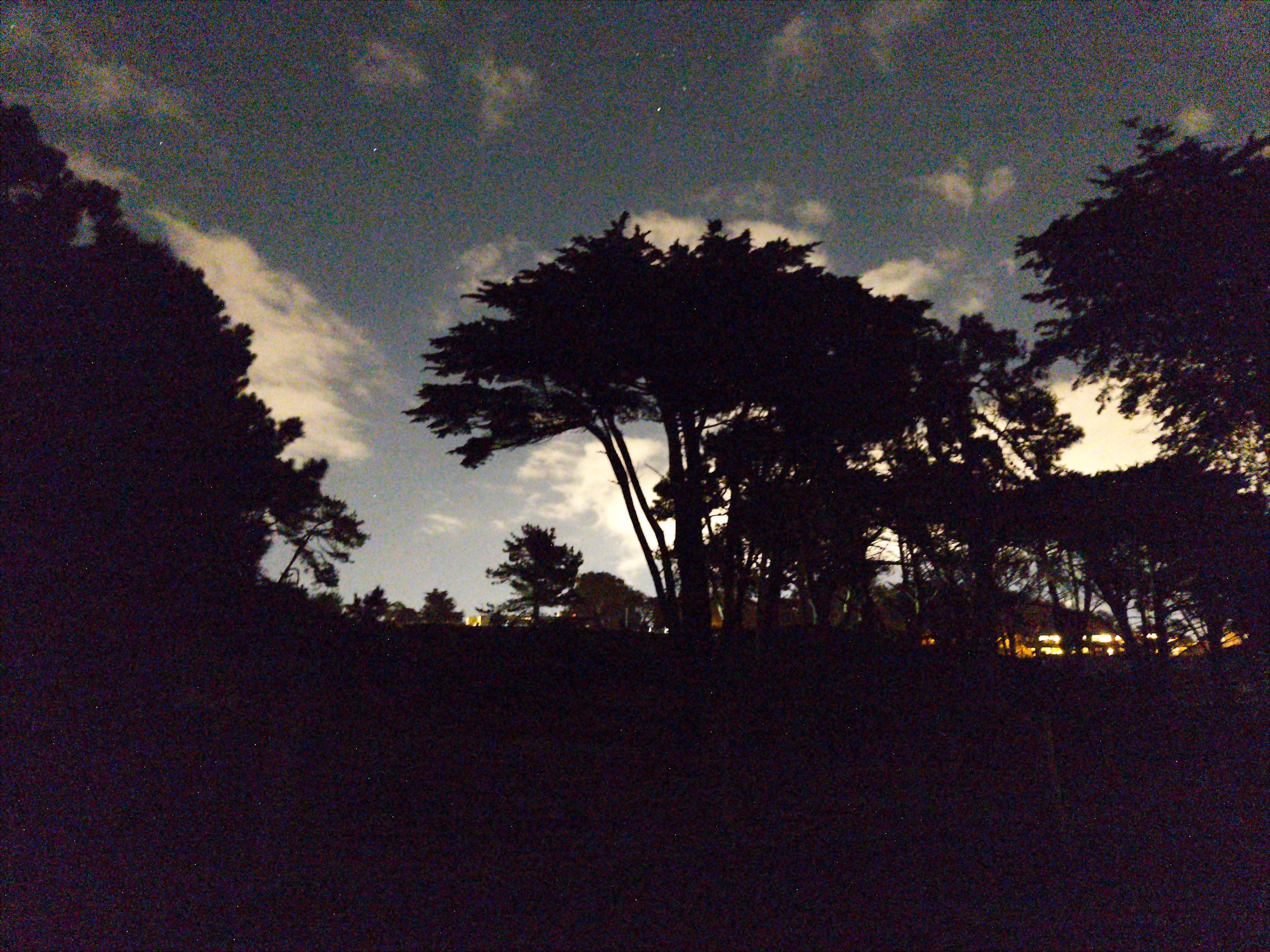 Portfolio photograph 28