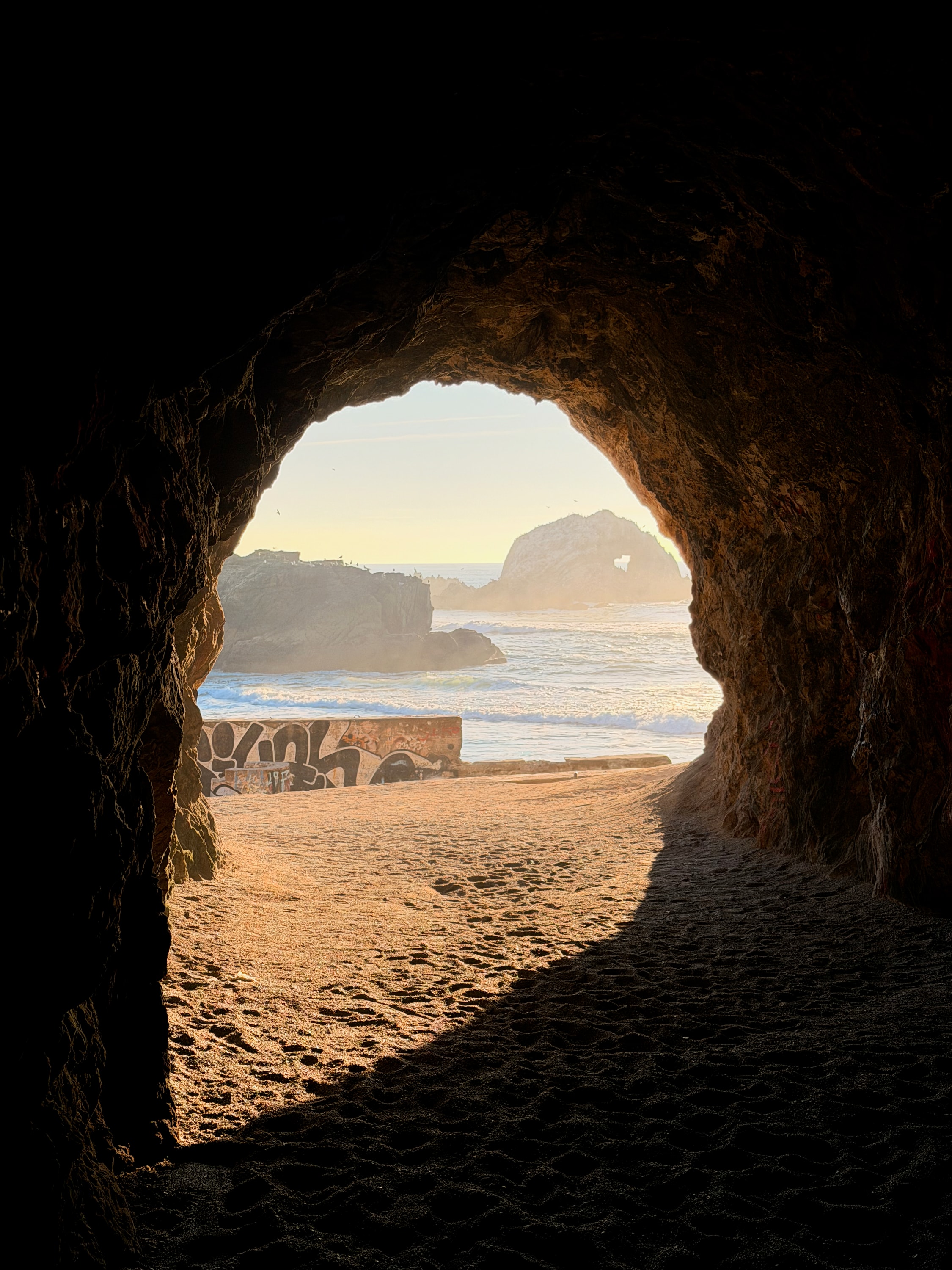 Portfolio photograph 24