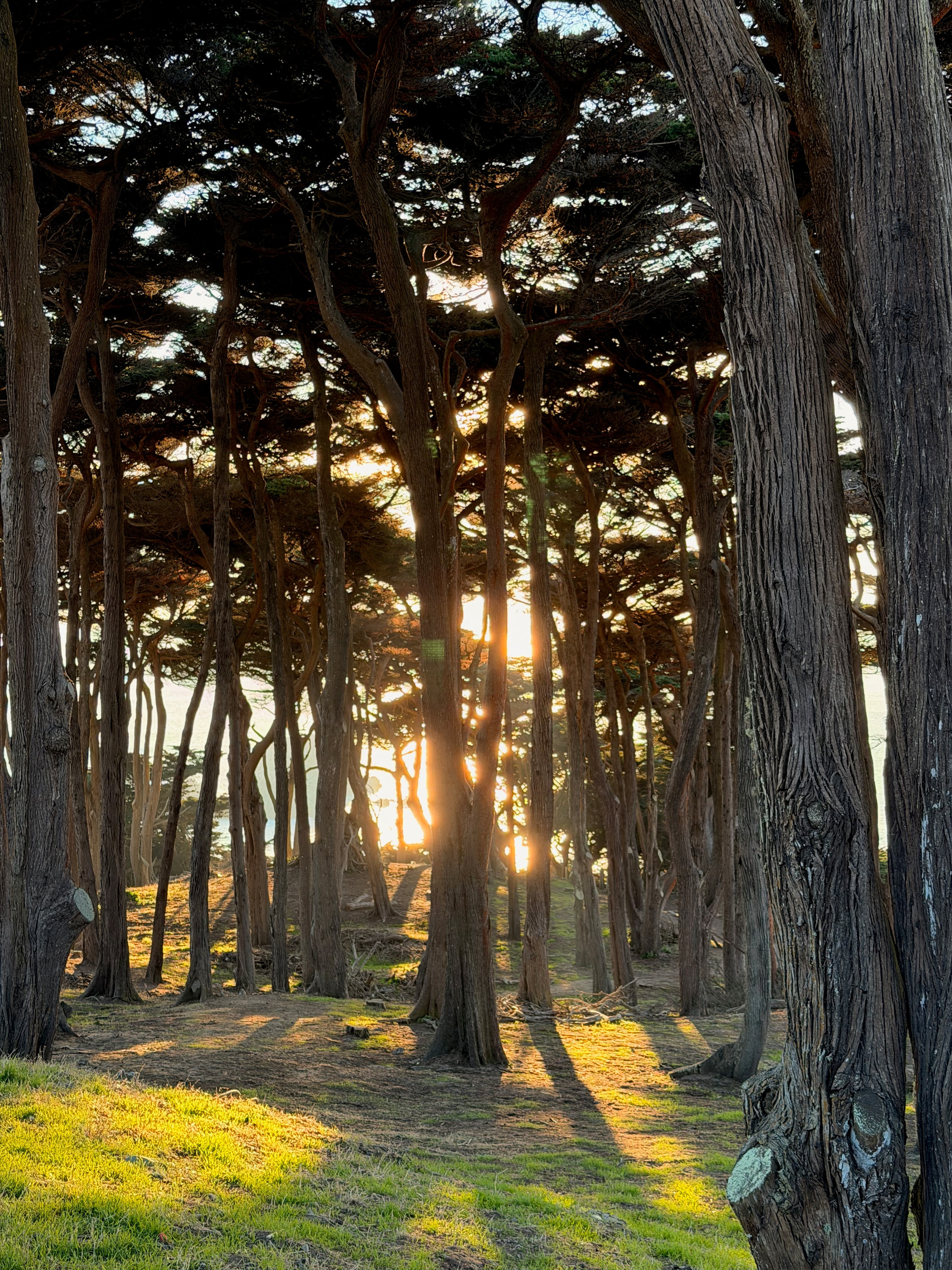 Portfolio photograph 22