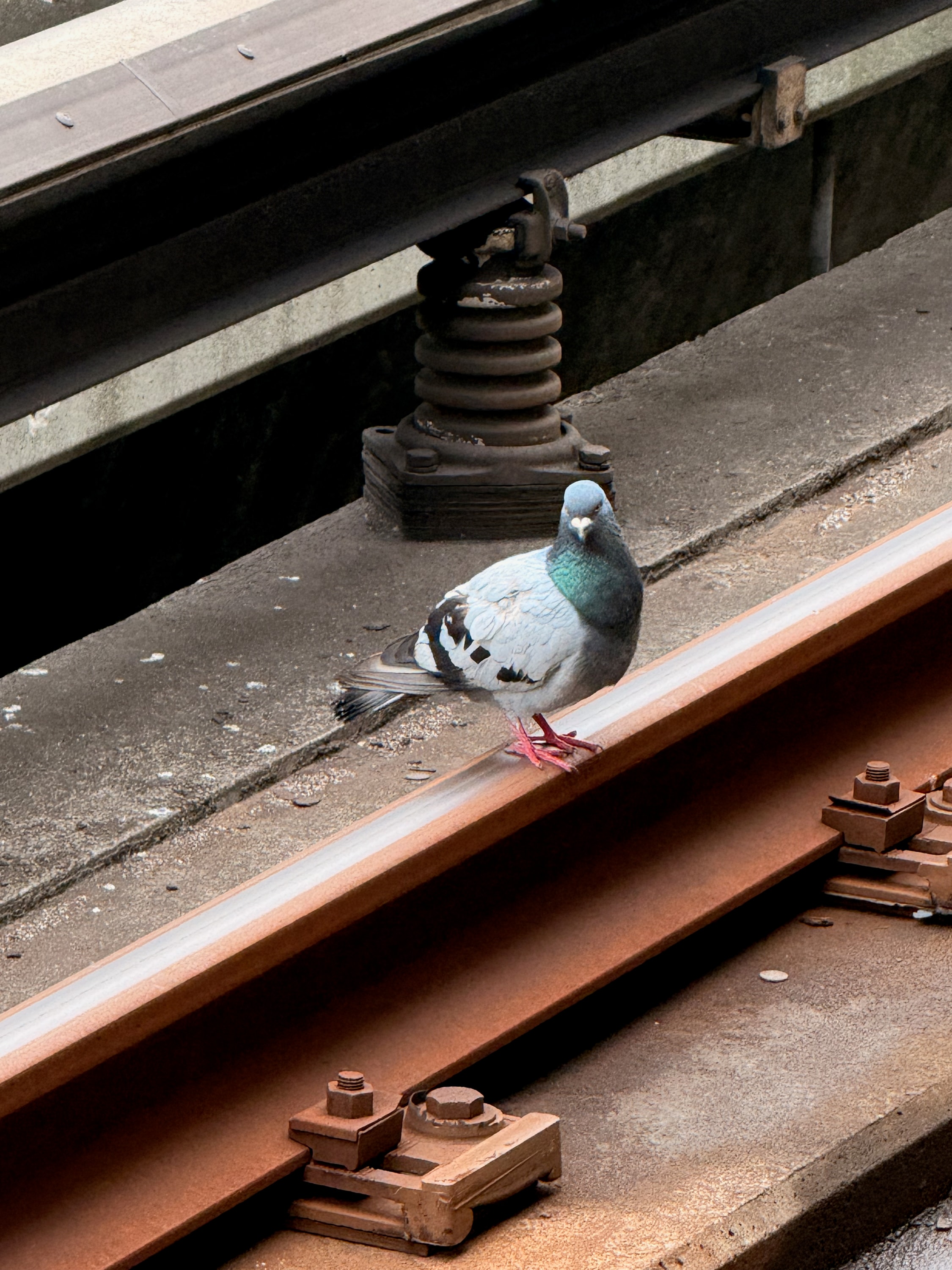 Portfolio photograph 47