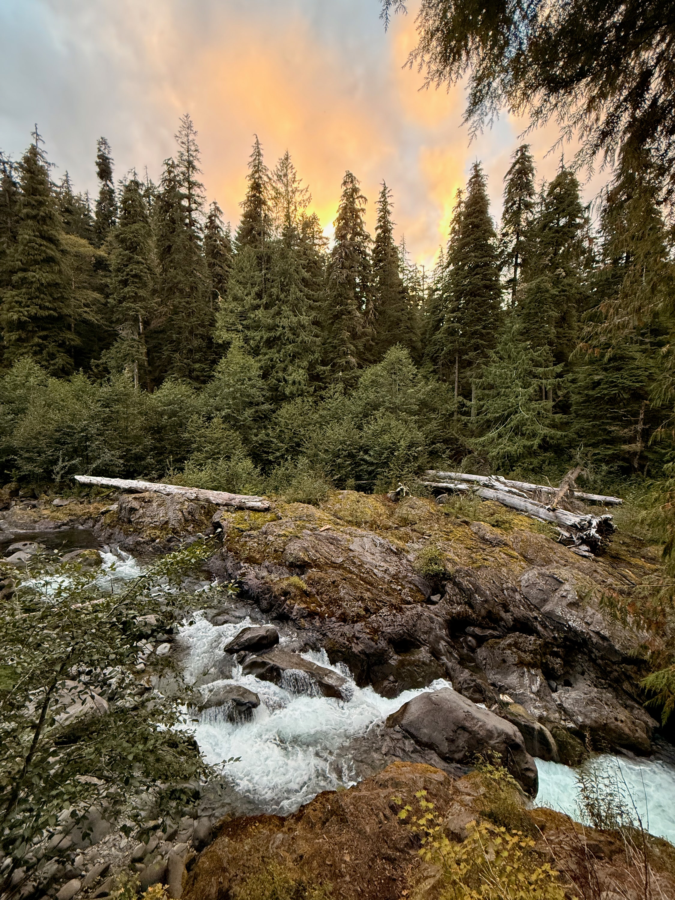 Portfolio photograph 45