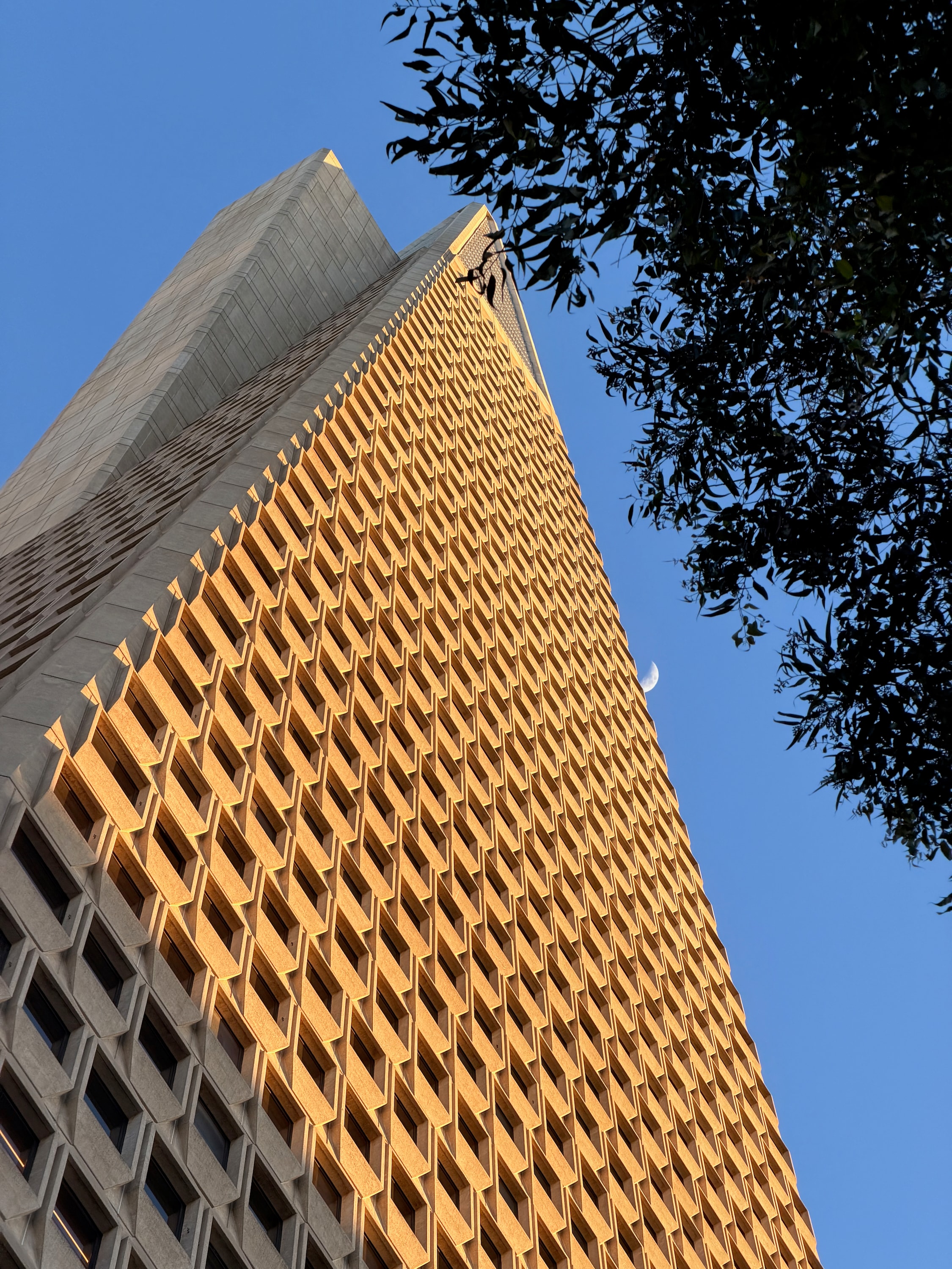 Portfolio photograph 17