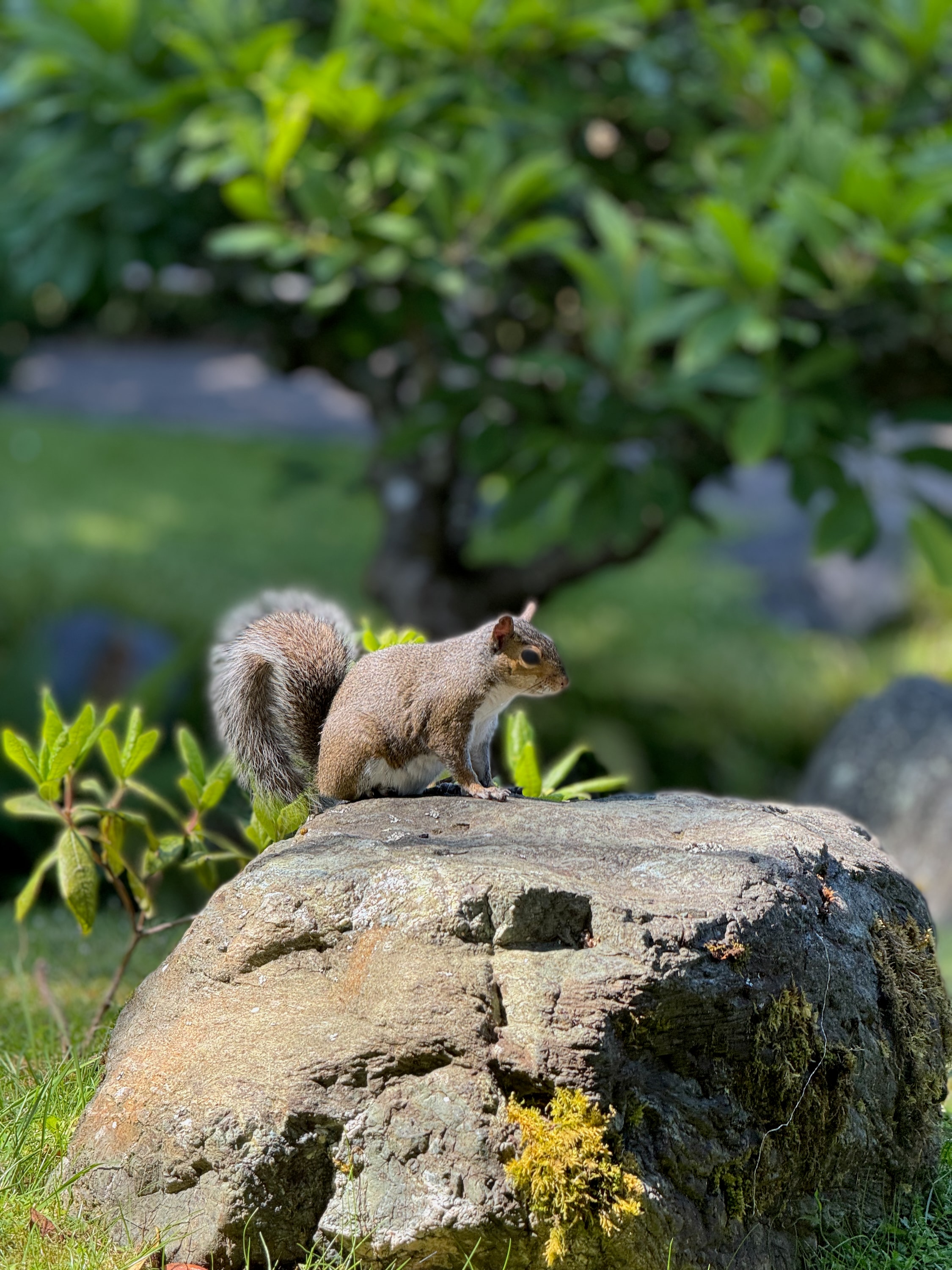 Portfolio photograph 81