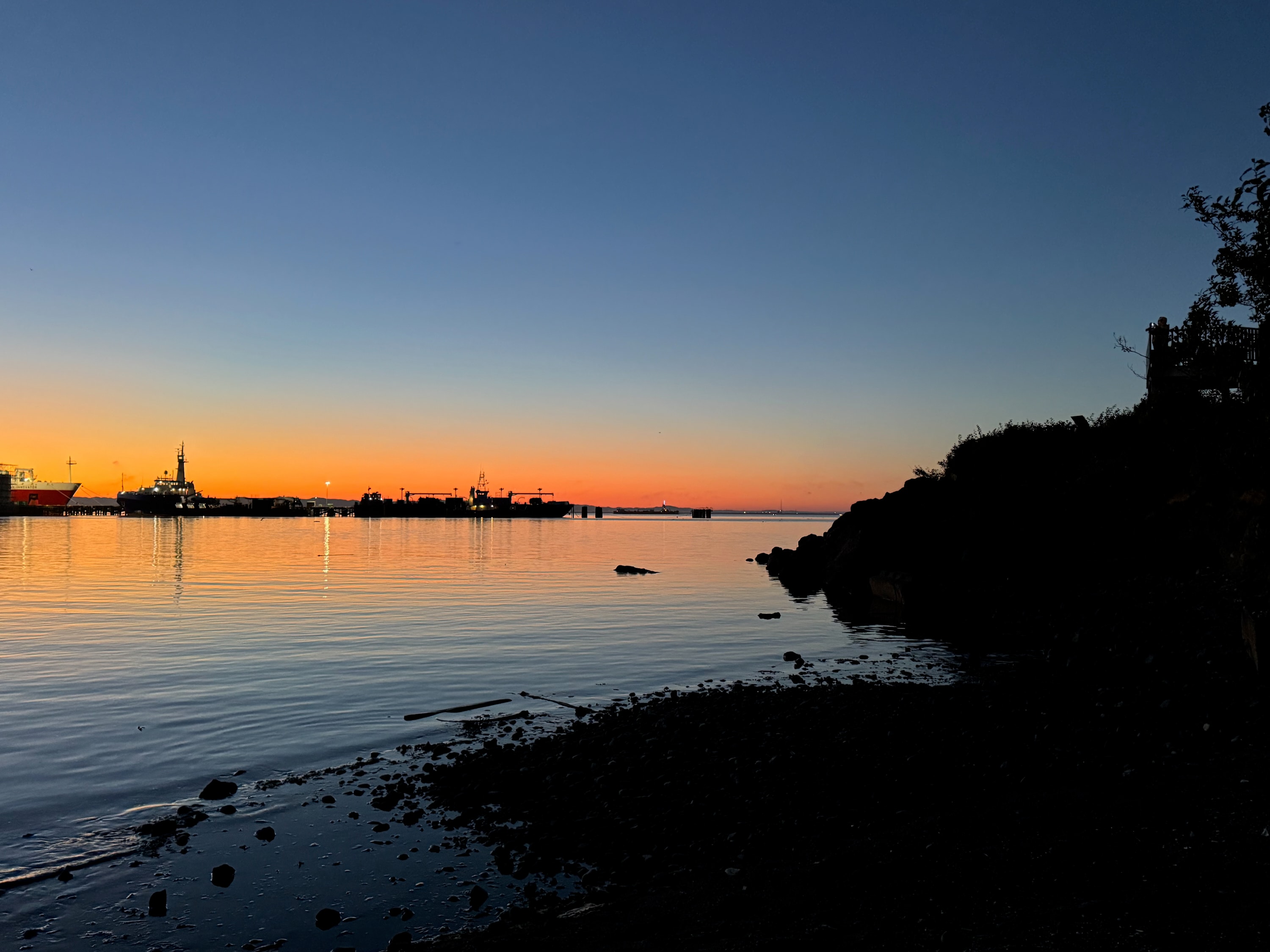 Portfolio photograph 78