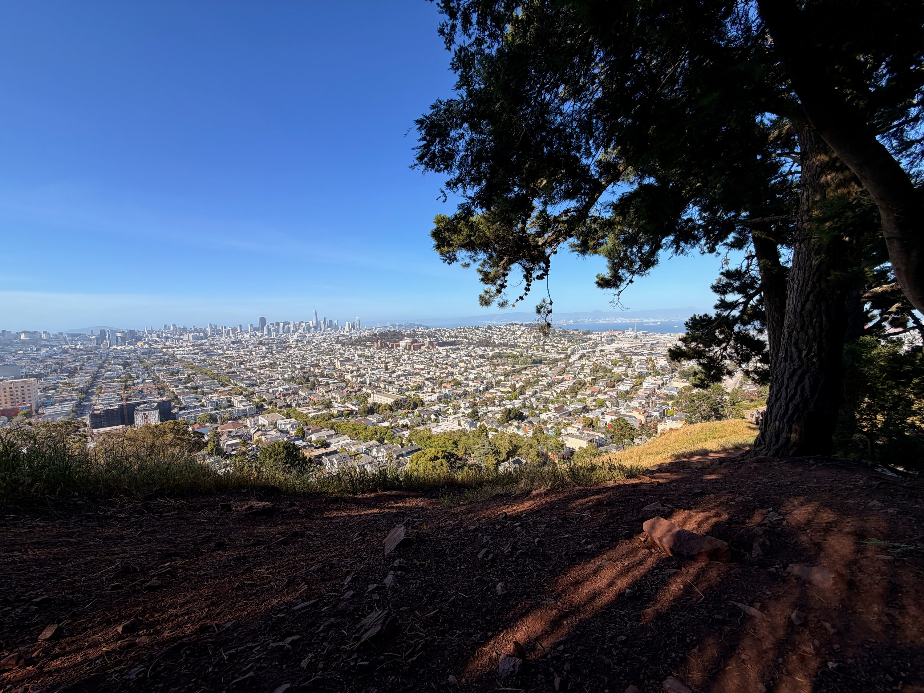 Portfolio photograph 15
