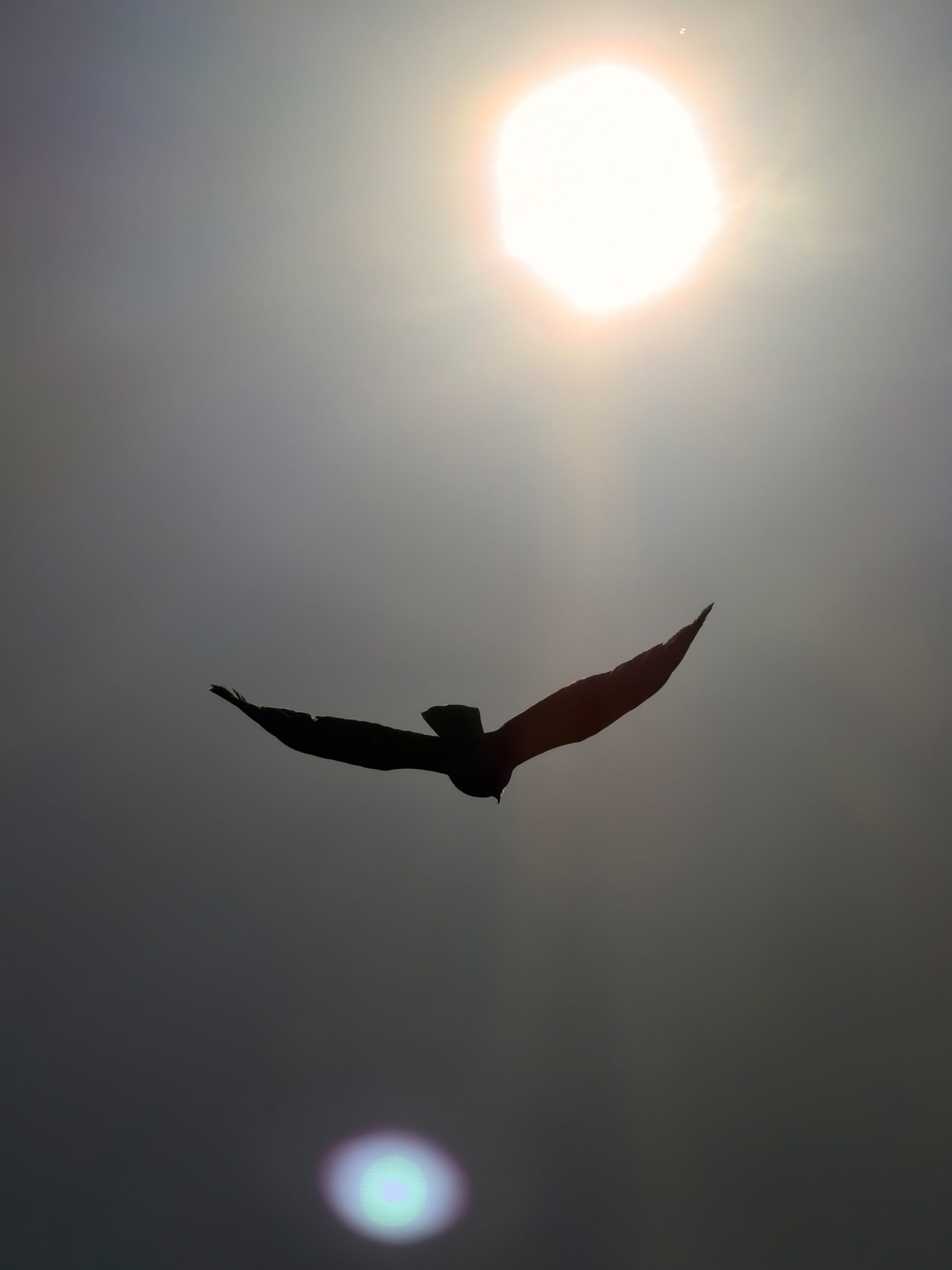 Portfolio photograph 14